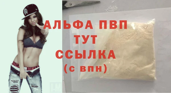 сатива Ахтубинск