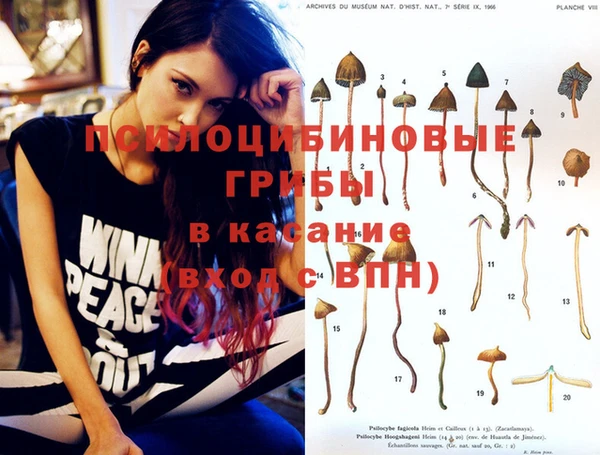 тгк Алексин