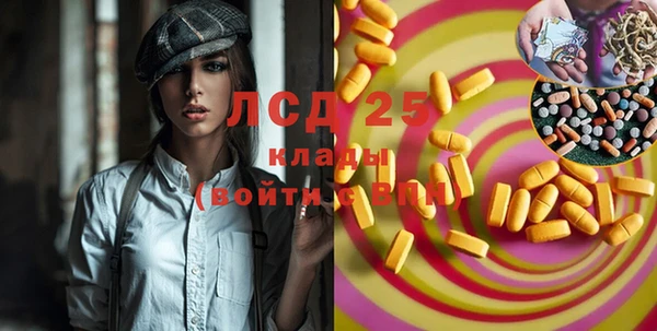 индика Надым