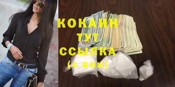 тгк Алексин